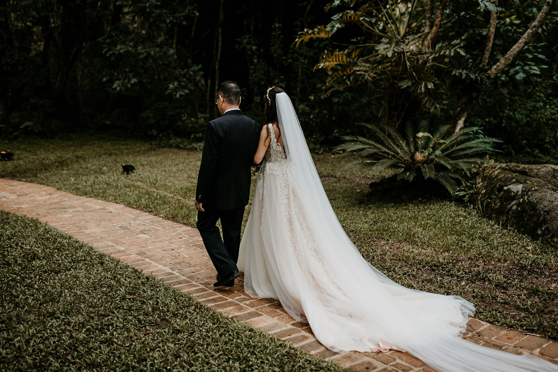 Foto Jeanie e André Foto Jeanie e André - Imagem 116