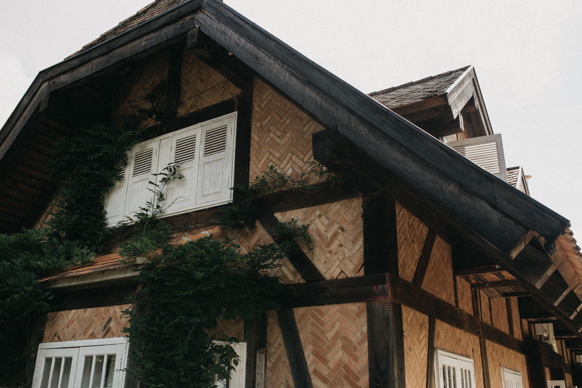 Foto Suzi e Fabio - Imagem 39