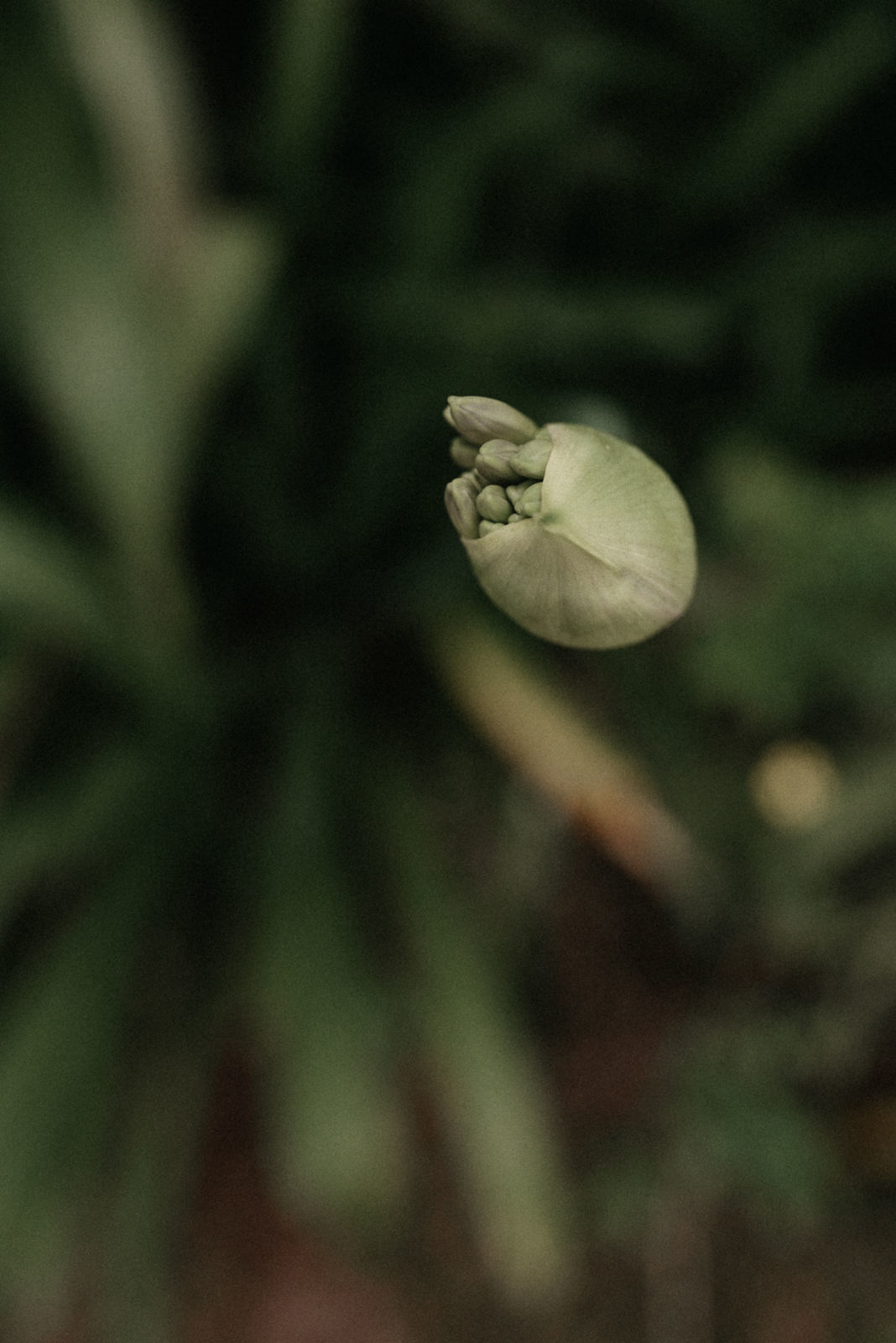 Foto Suzi e Fabio - Imagem 40