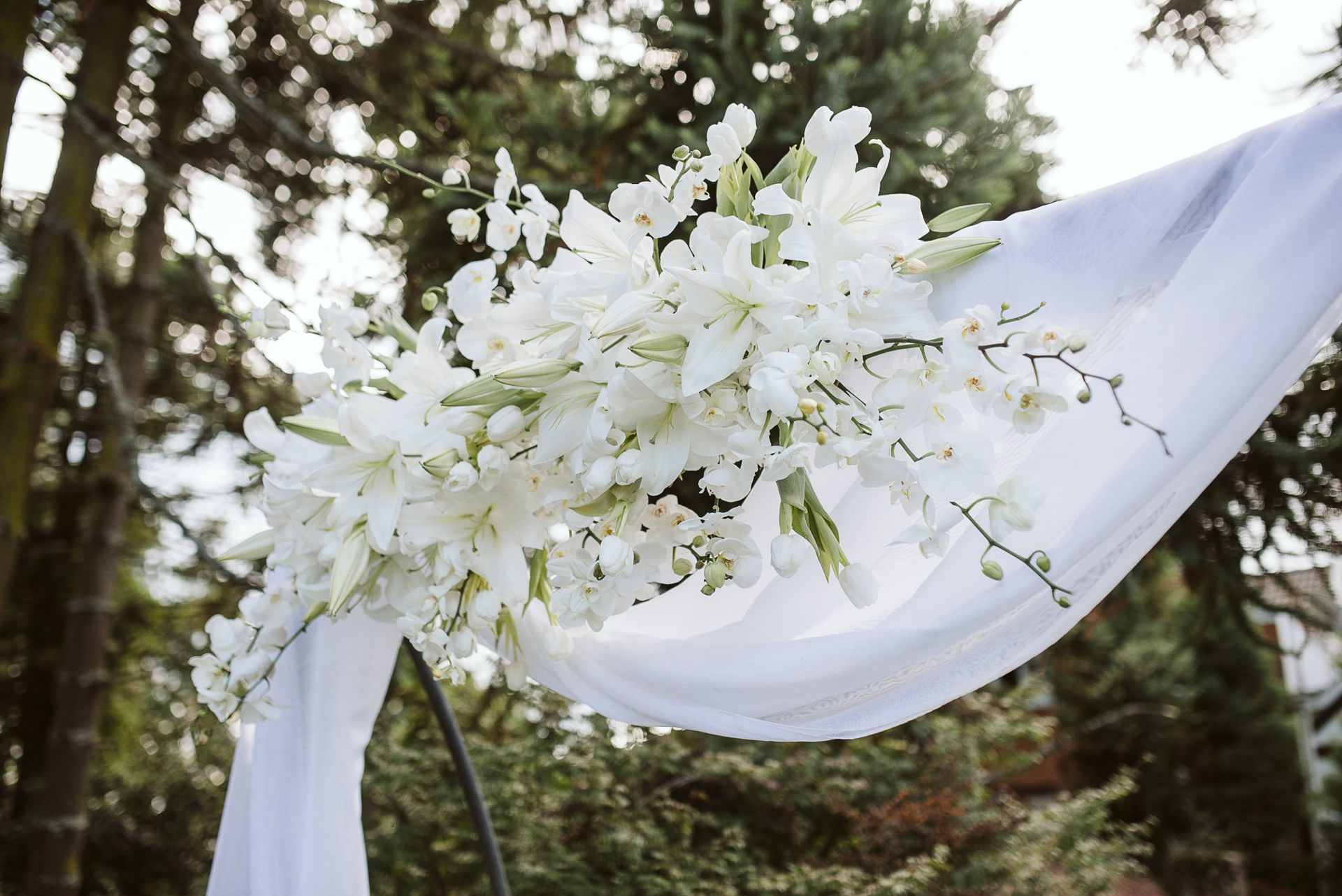 Foto Mayara e Leon - Imagem 15