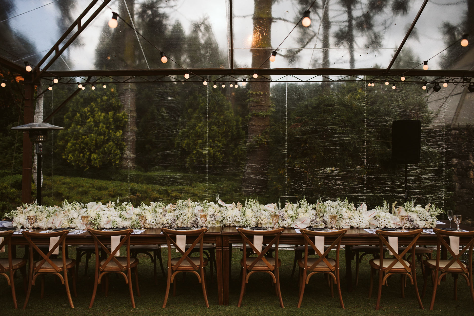 Foto Mayara e Leon - Imagem 7