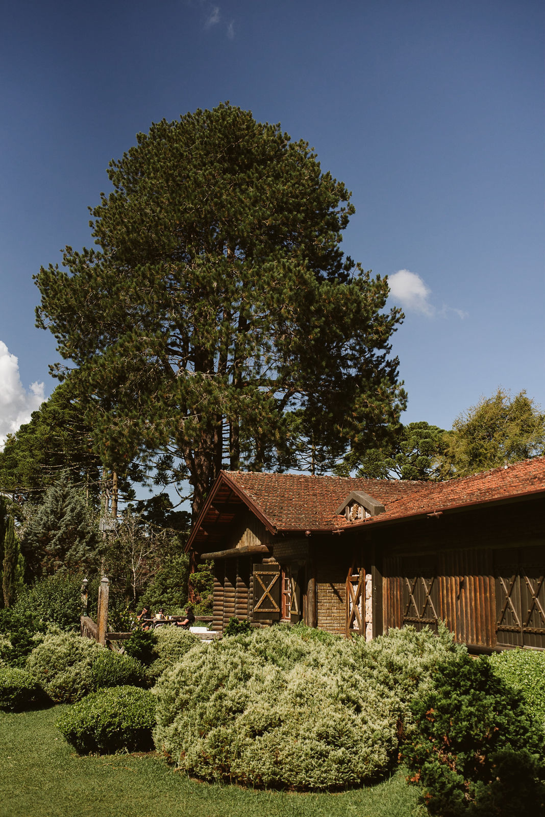 Foto Mayara e Leon - Imagem 11