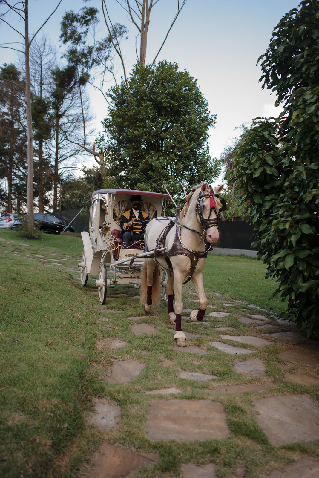 Foto Evelyn e Victor - Imagem 46