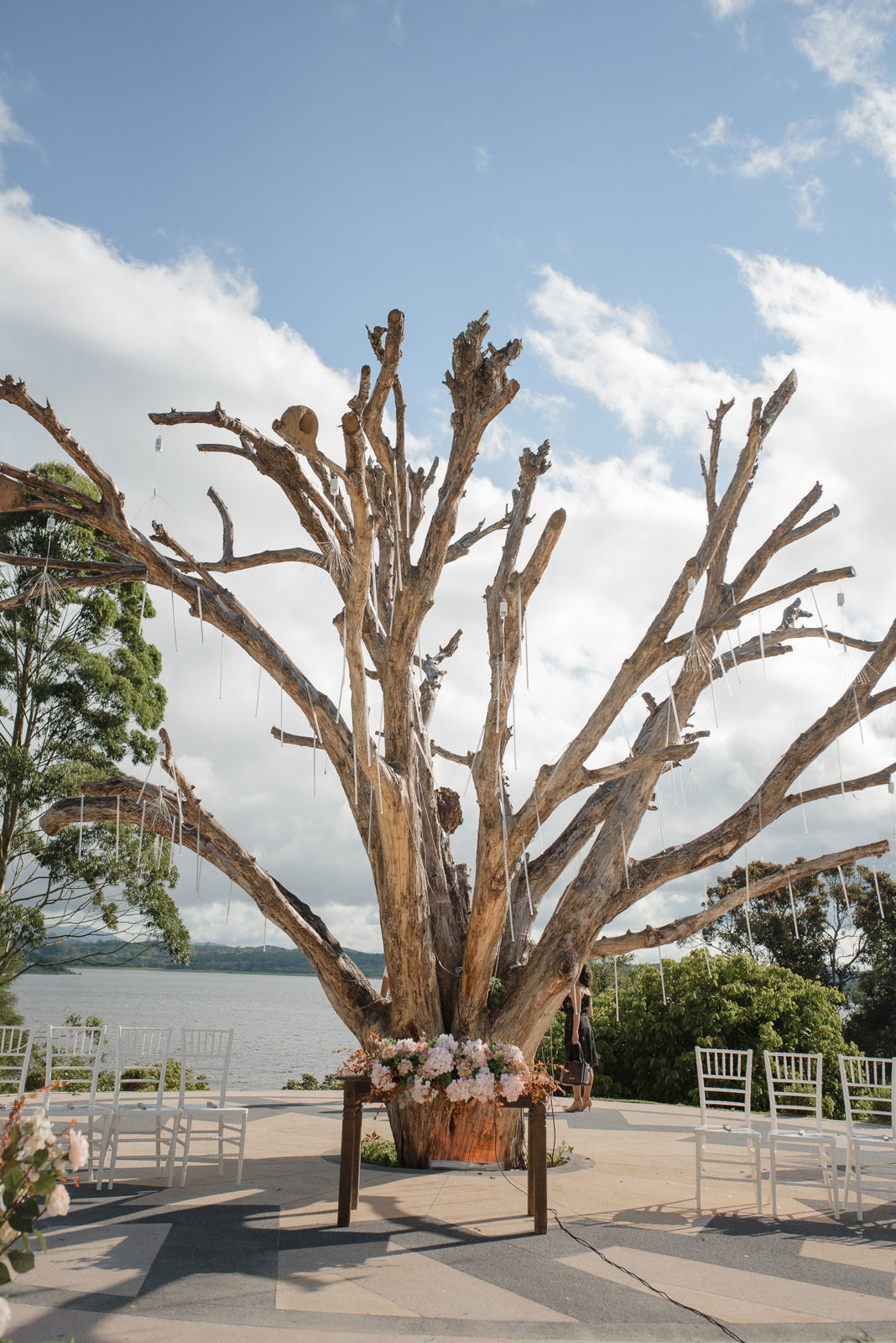 Foto Evelyn e Victor - Imagem 16