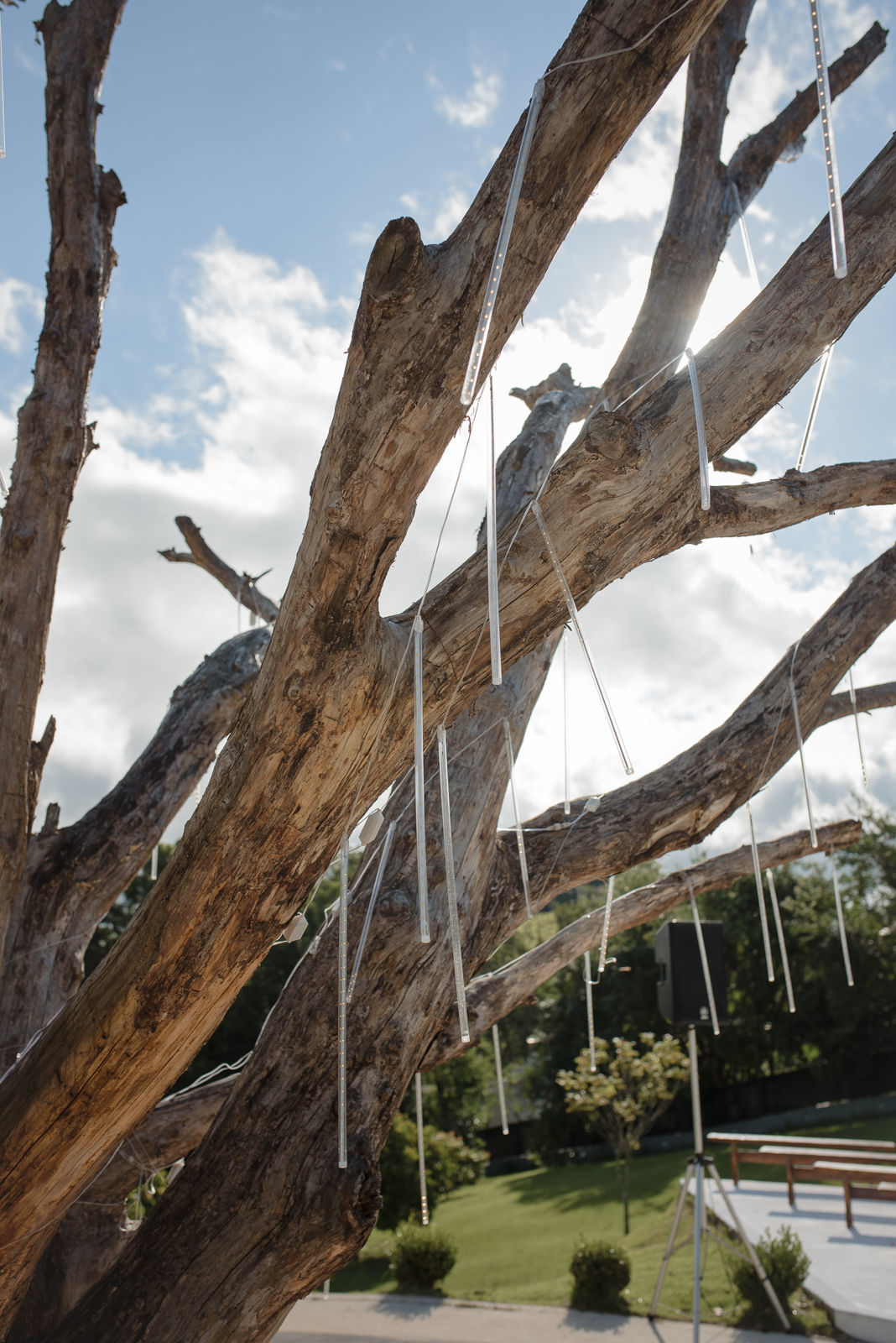 Foto Evelyn e Victor - Imagem 17