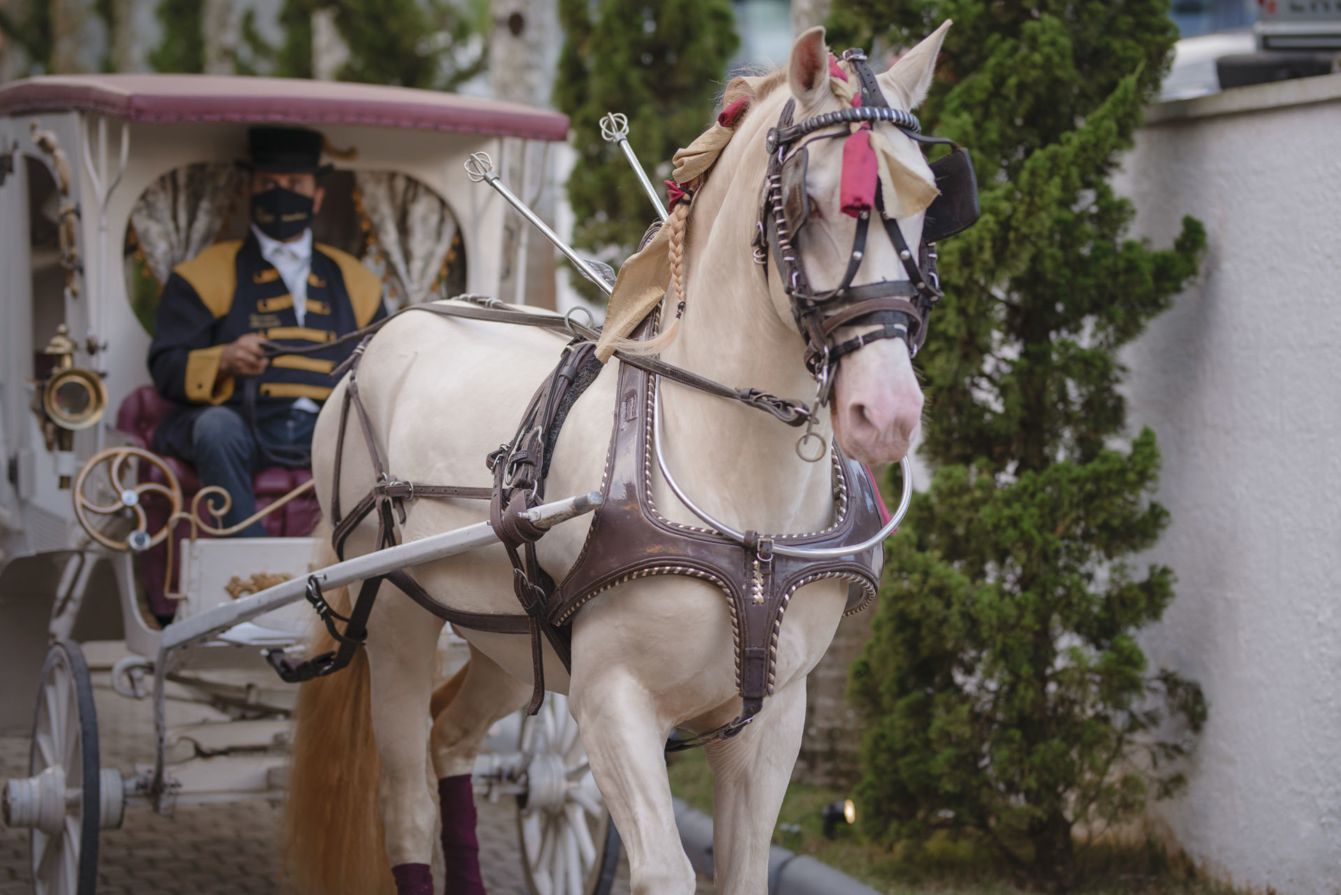 Foto Evelyn e Victor - Imagem 34
