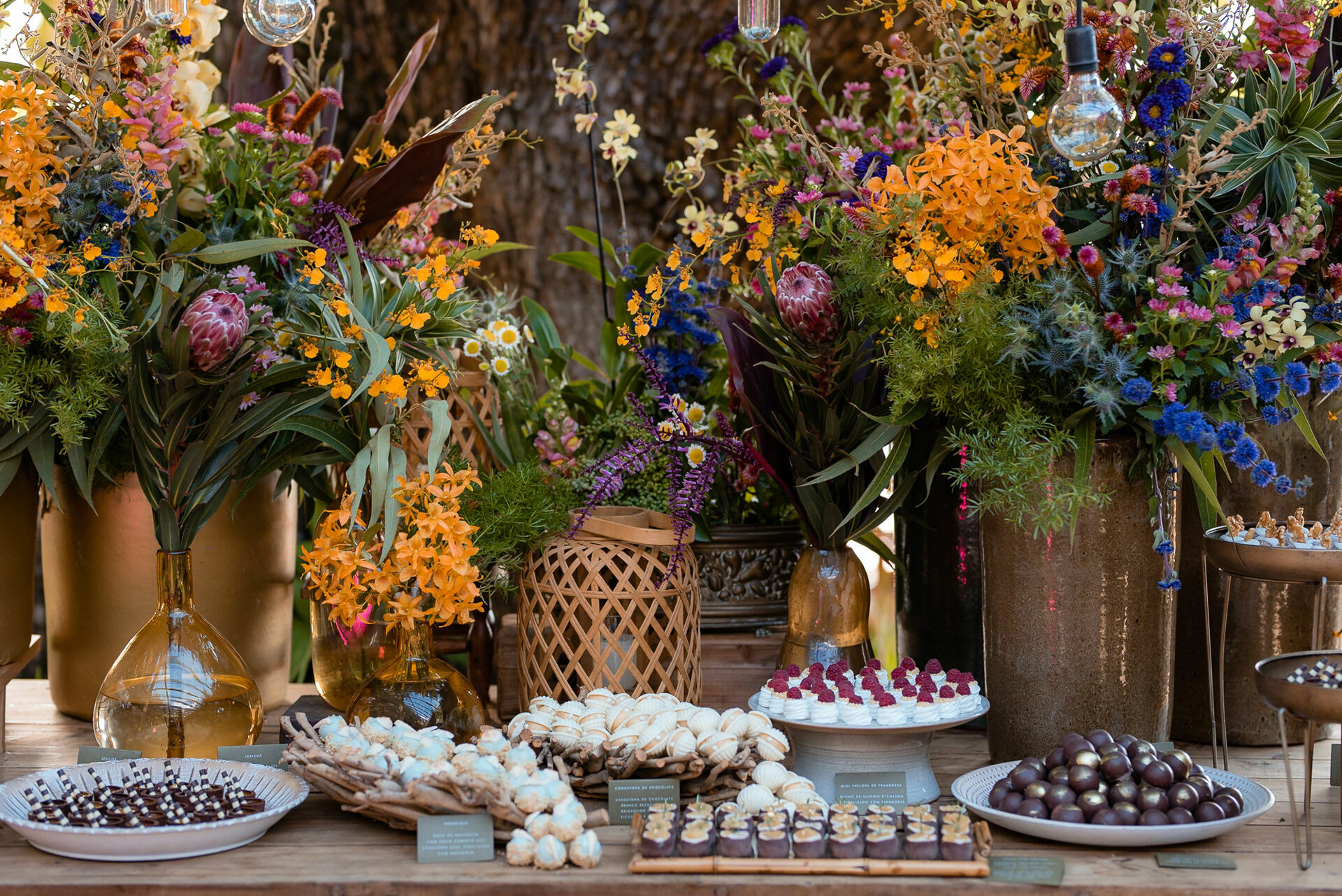 Foto Nadine e Guilherme - Imagem 25