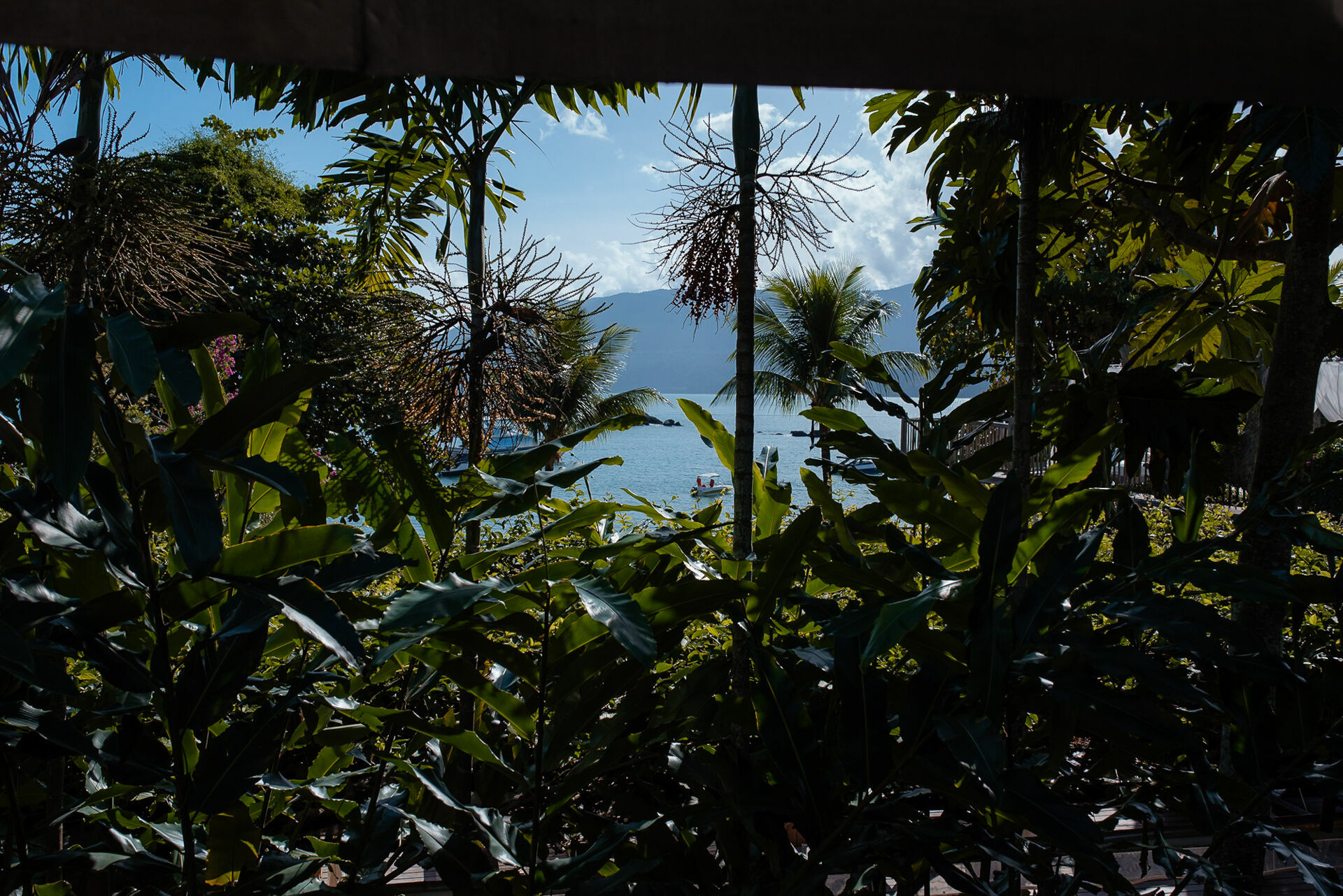 Foto Nadine e Guilherme - Imagem 13