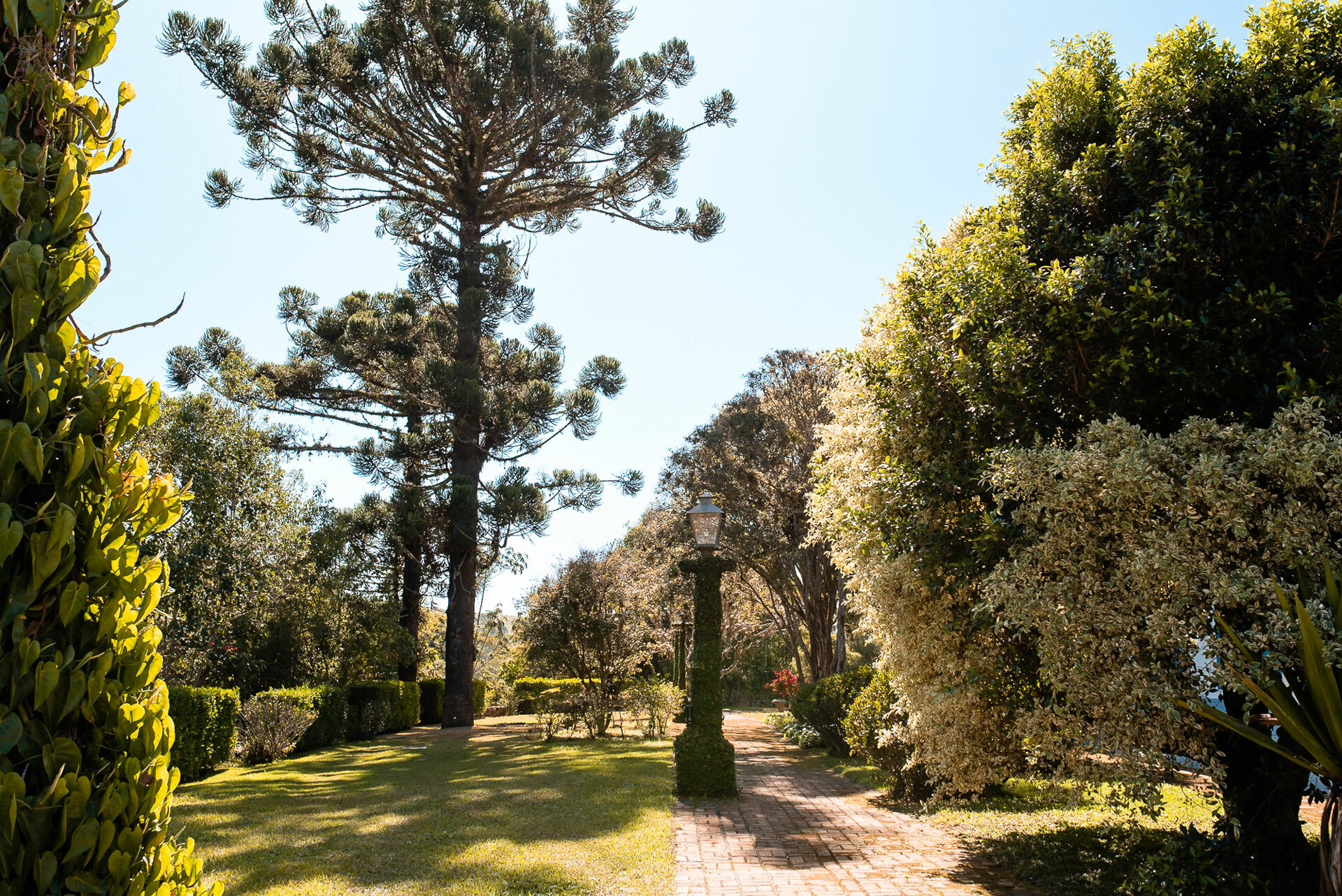 Foto Julia e Victor - Imagem 1