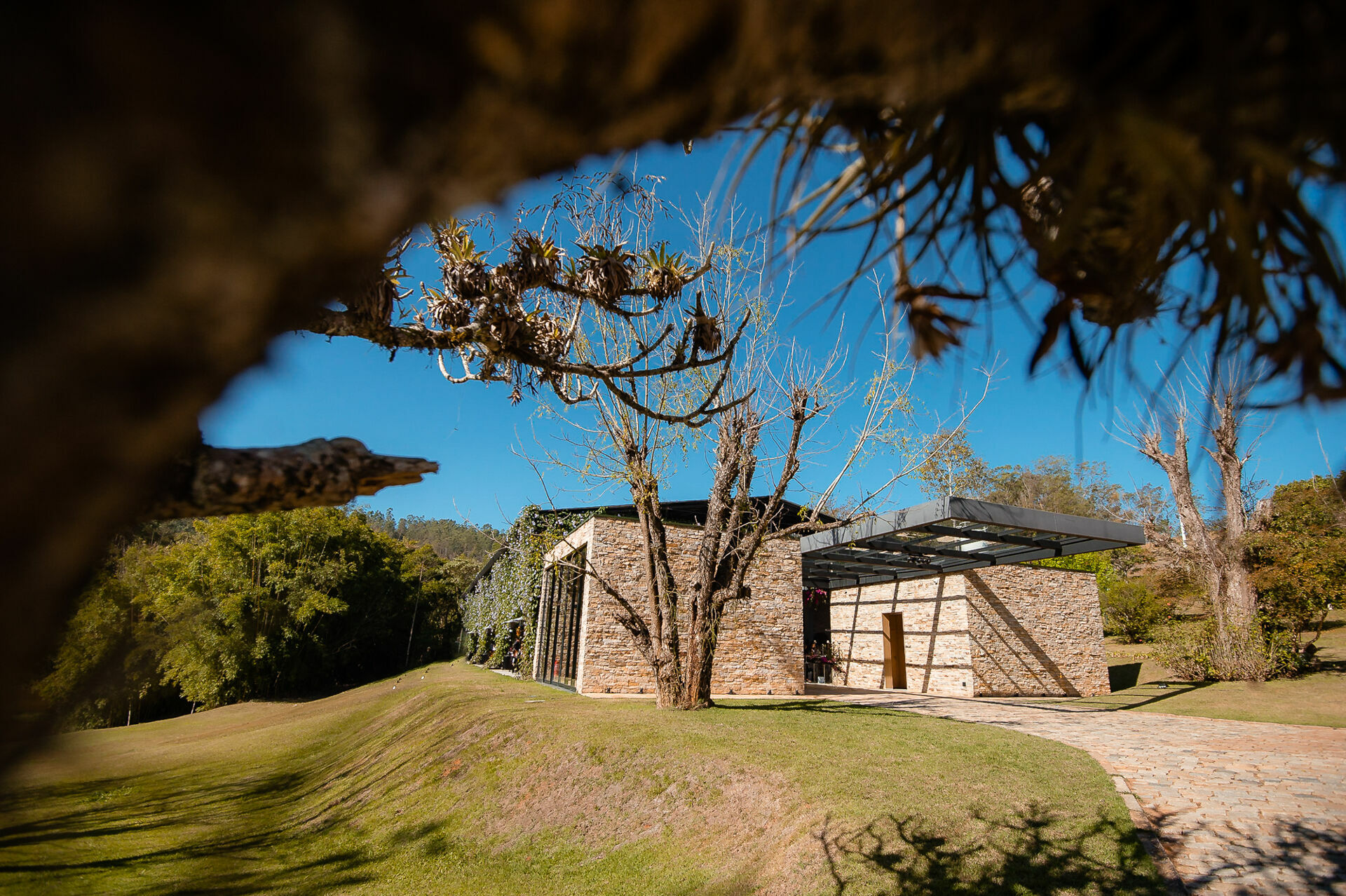 Foto Julia e Victor - Imagem 4