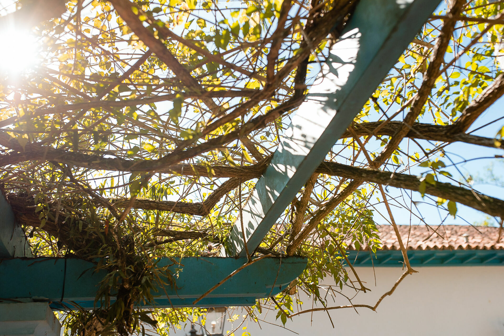 Foto Julia e Victor - Imagem 26