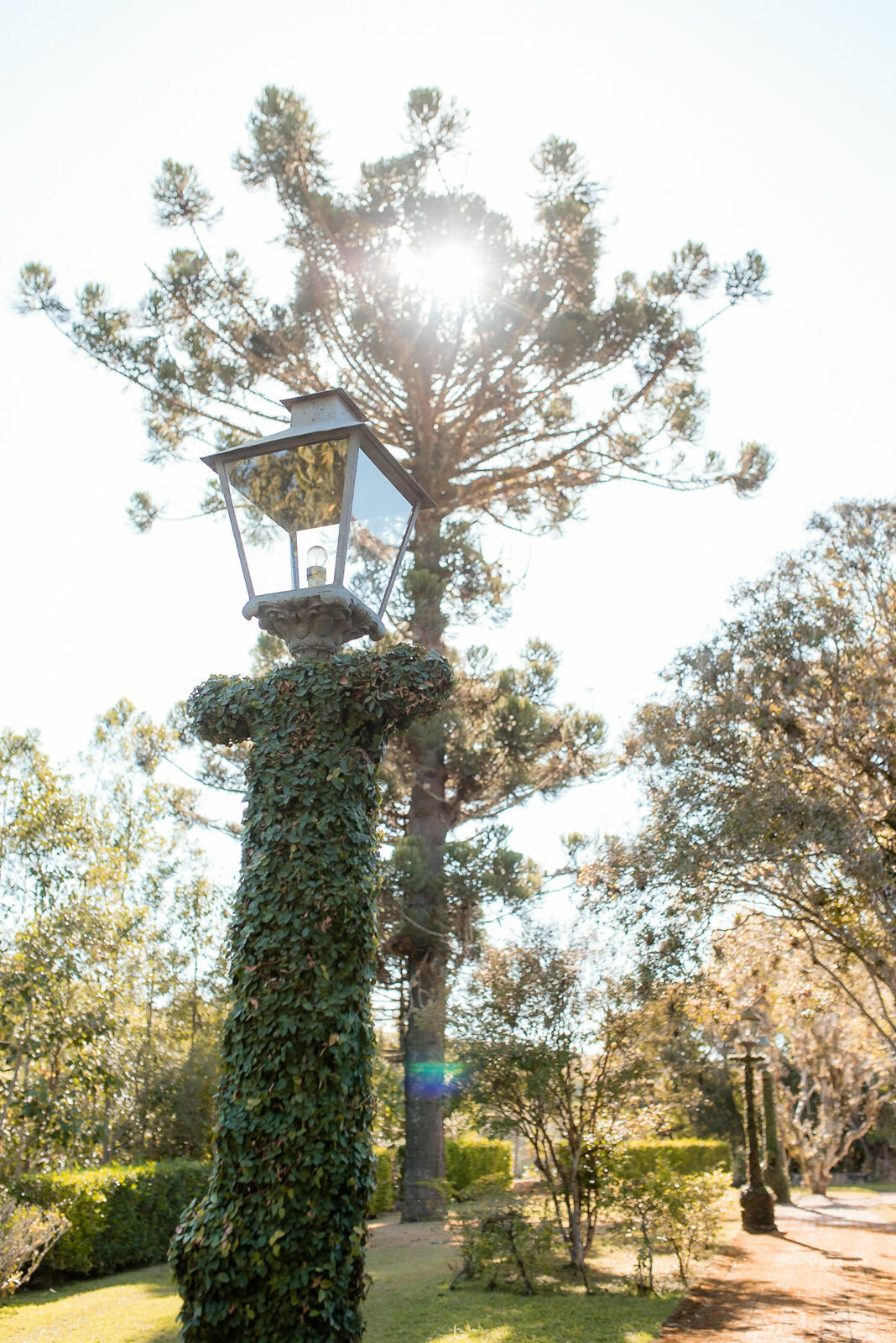 Foto Julia e Victor - Imagem 28