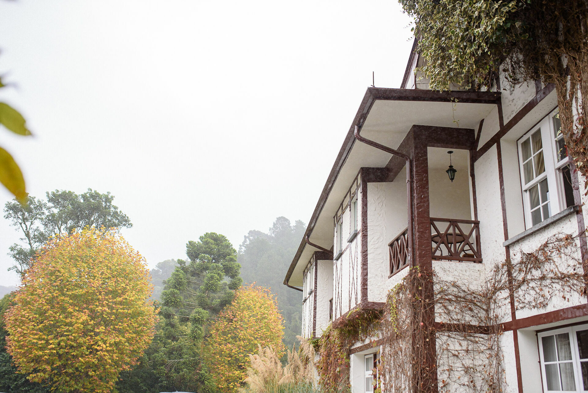 Foto Carol e Lucas - Imagem 3