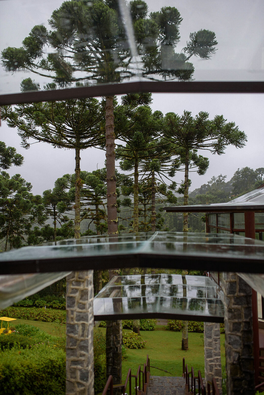 Foto Carol e Lucas - Imagem 0