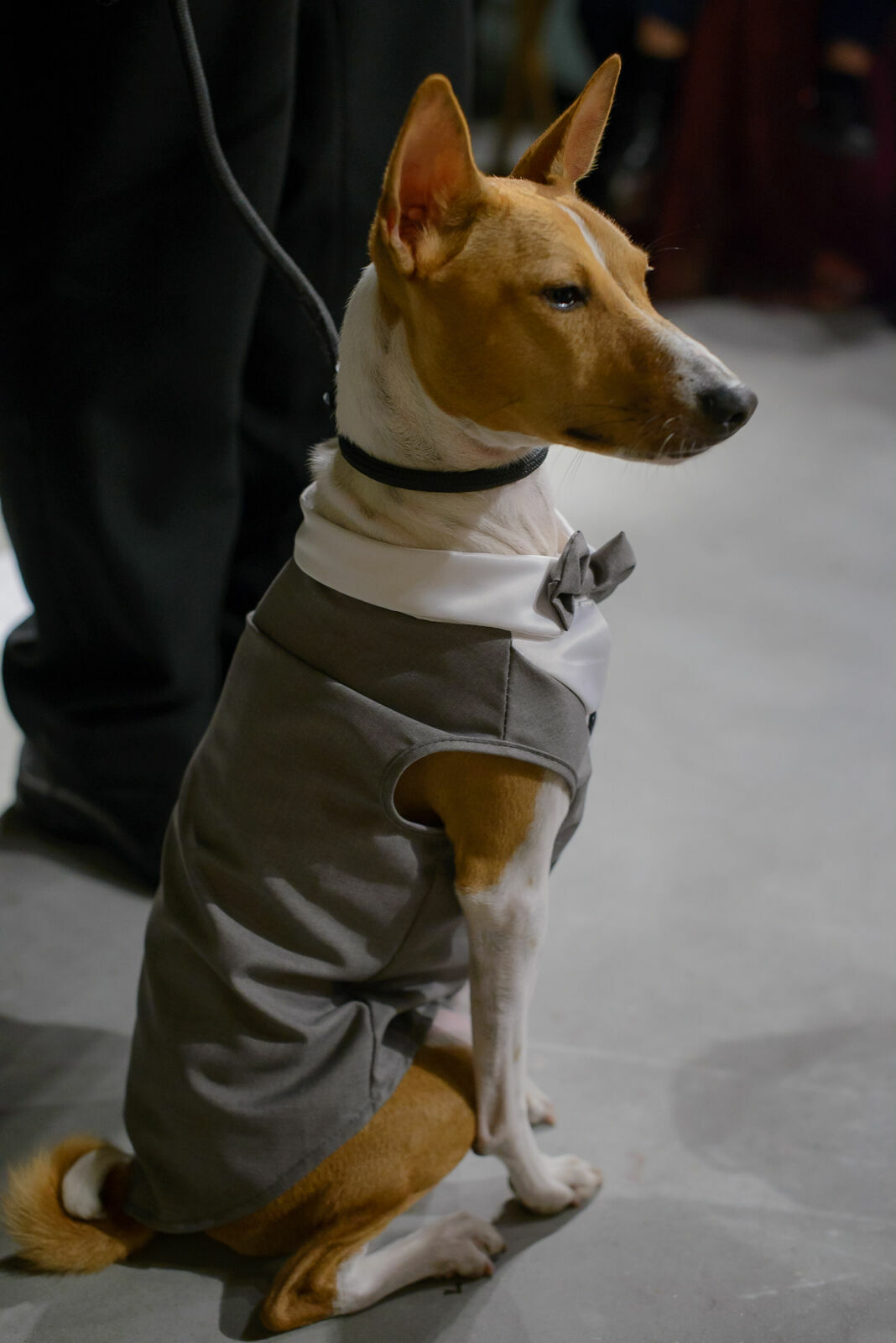 Foto Carol e Luiz Fernando - Imagem 173