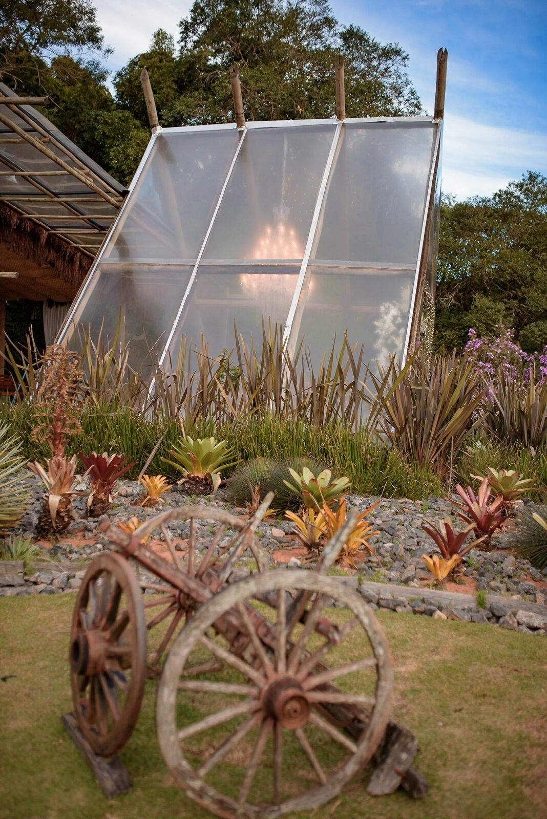 Foto Luiza e Caio - Imagem 5