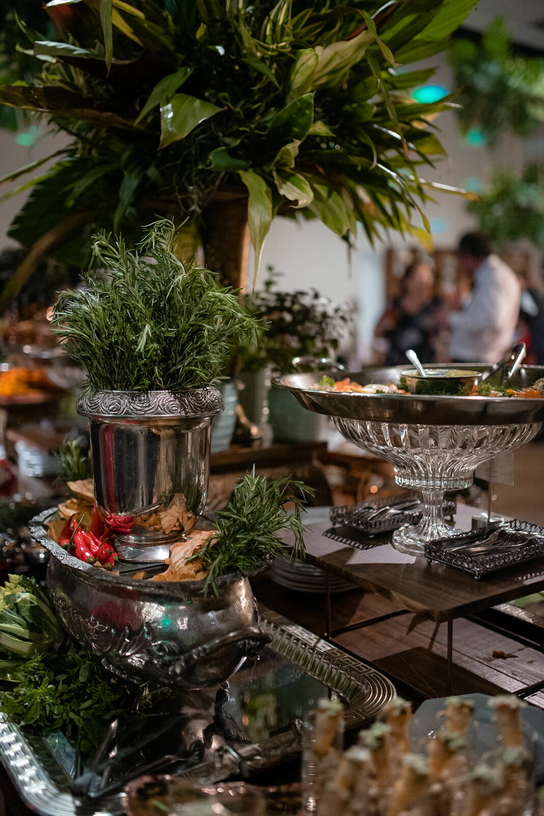 Foto Luiza de Felipe - Imagem 89