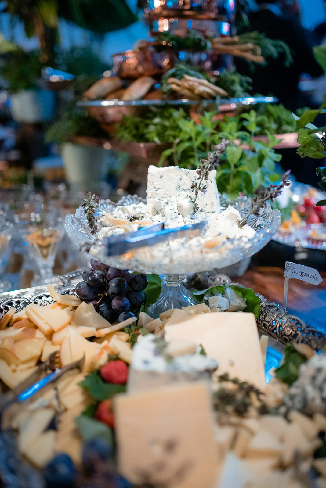 Foto Luiza de Felipe - Imagem 88