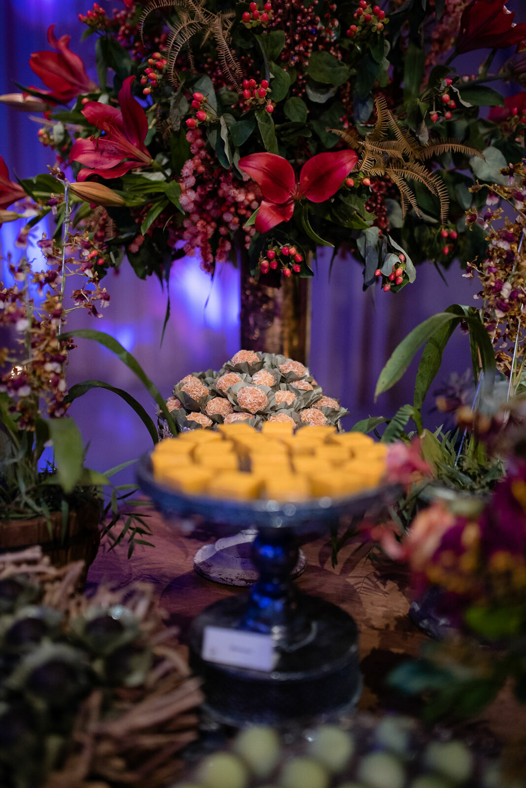 Foto Luiza de Felipe - Imagem 80