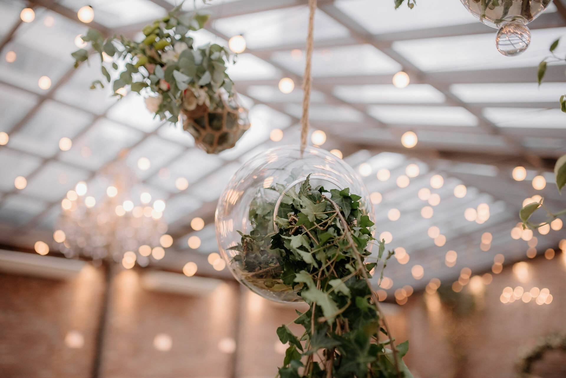 Foto Camila e Mateus - Imagem 5