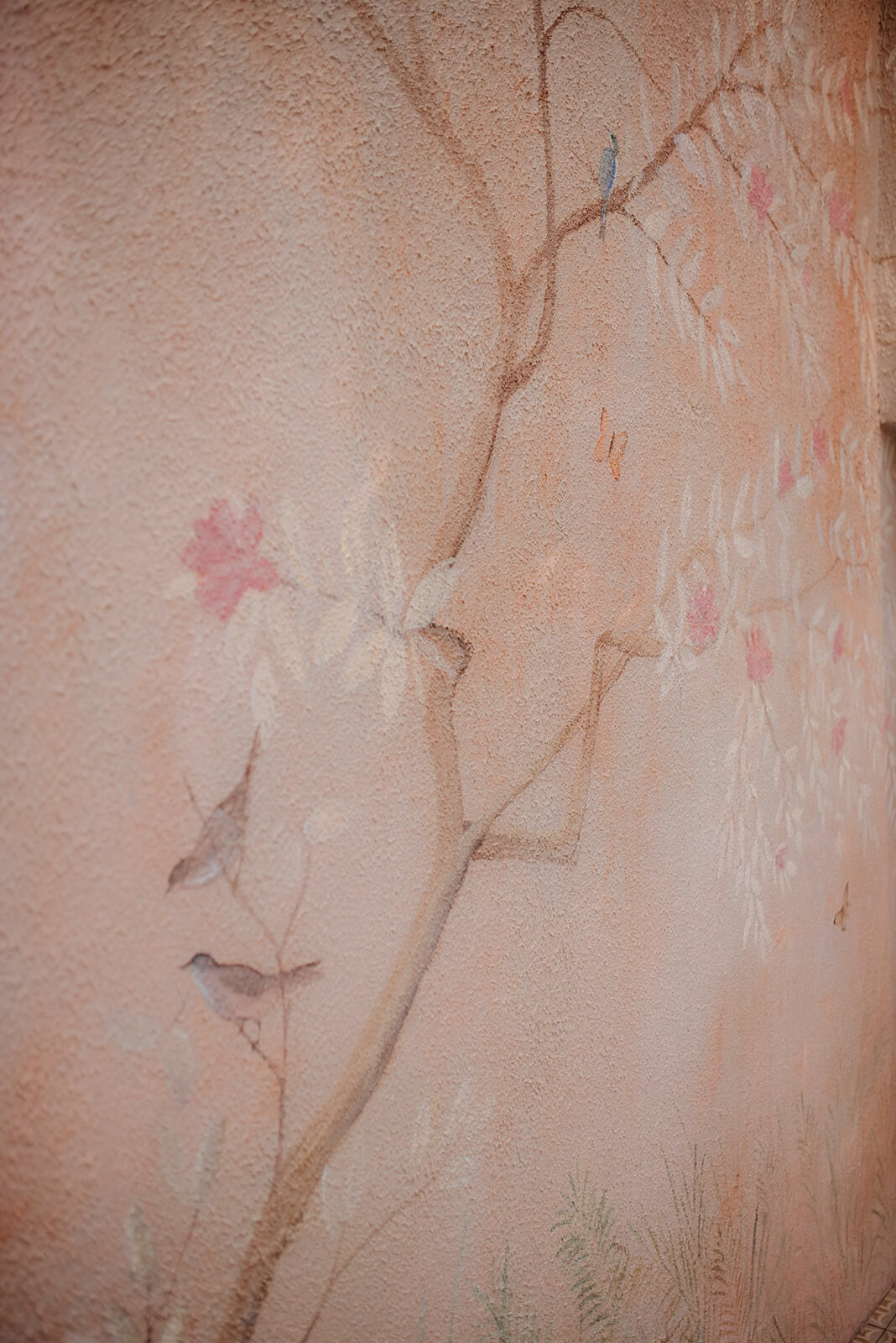 Foto Camila e Mateus - Imagem 7