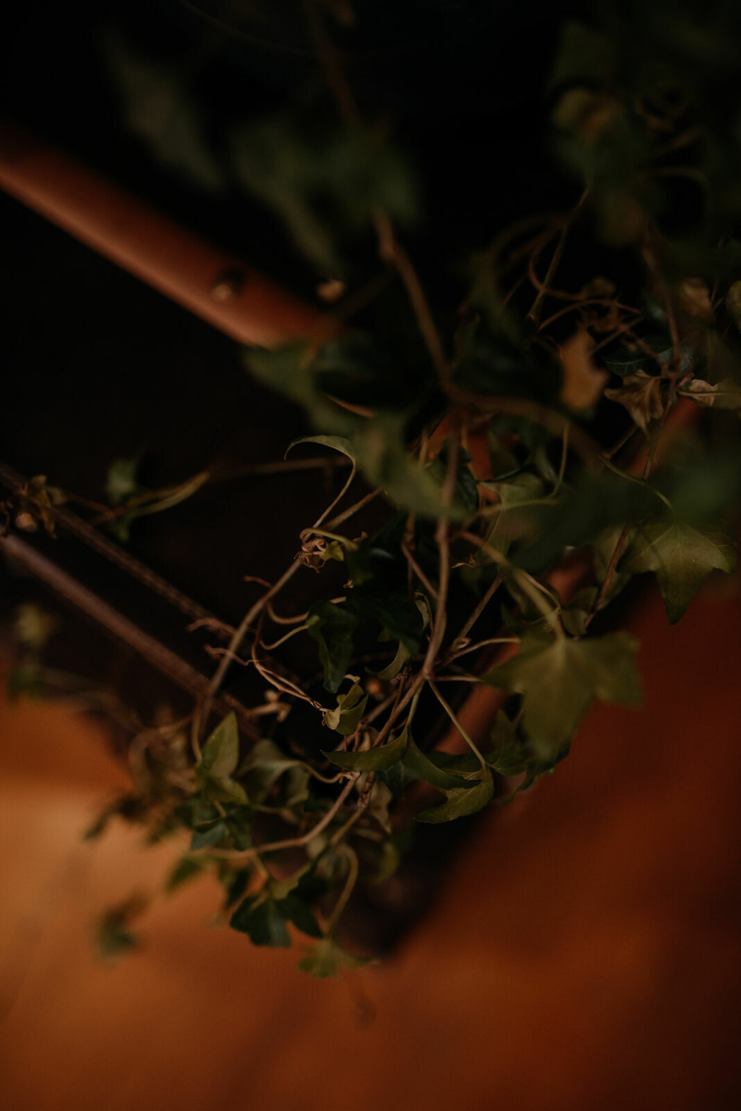 Foto Camila e Mateus - Imagem 34