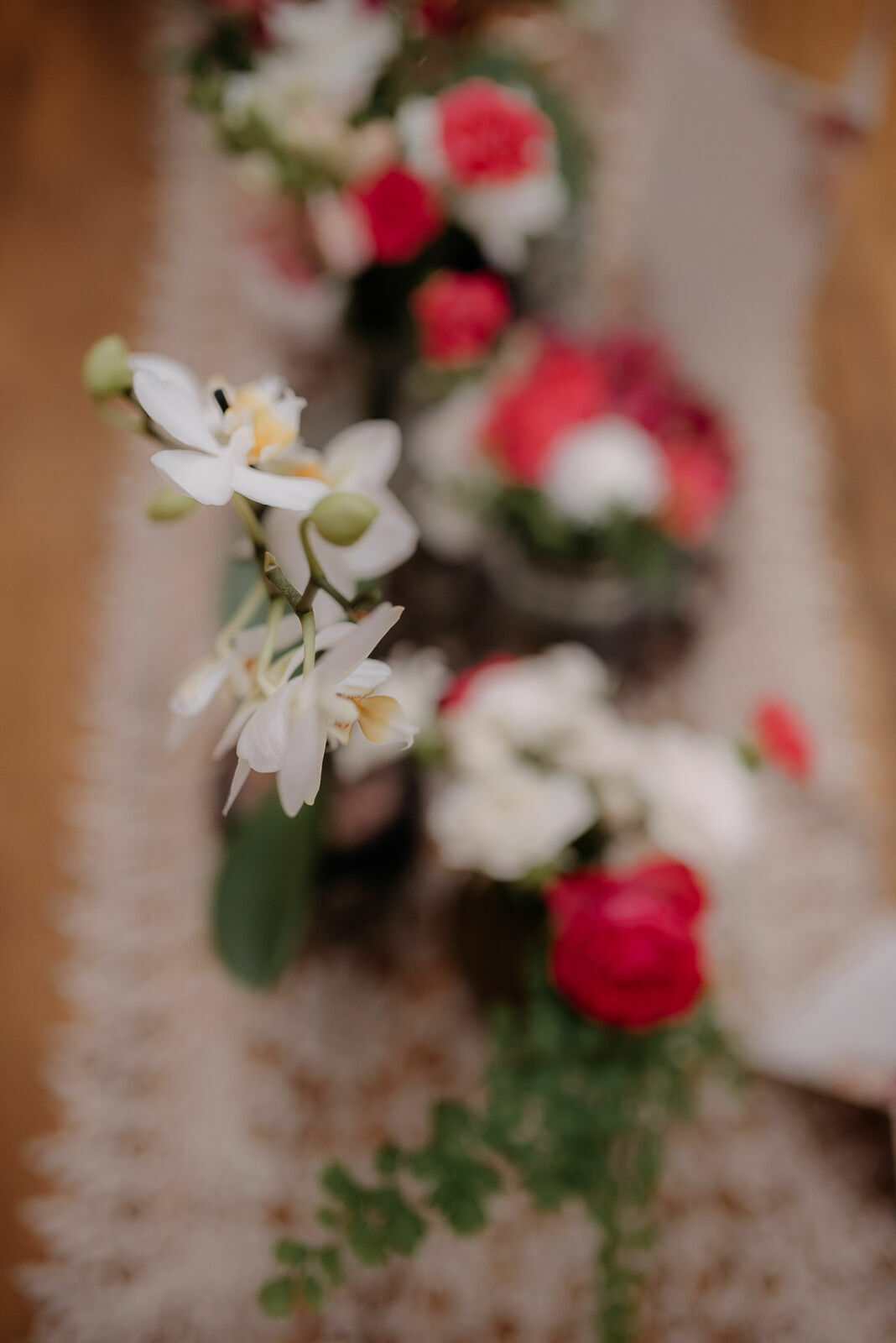 Foto Camila e Mateus - Imagem 21