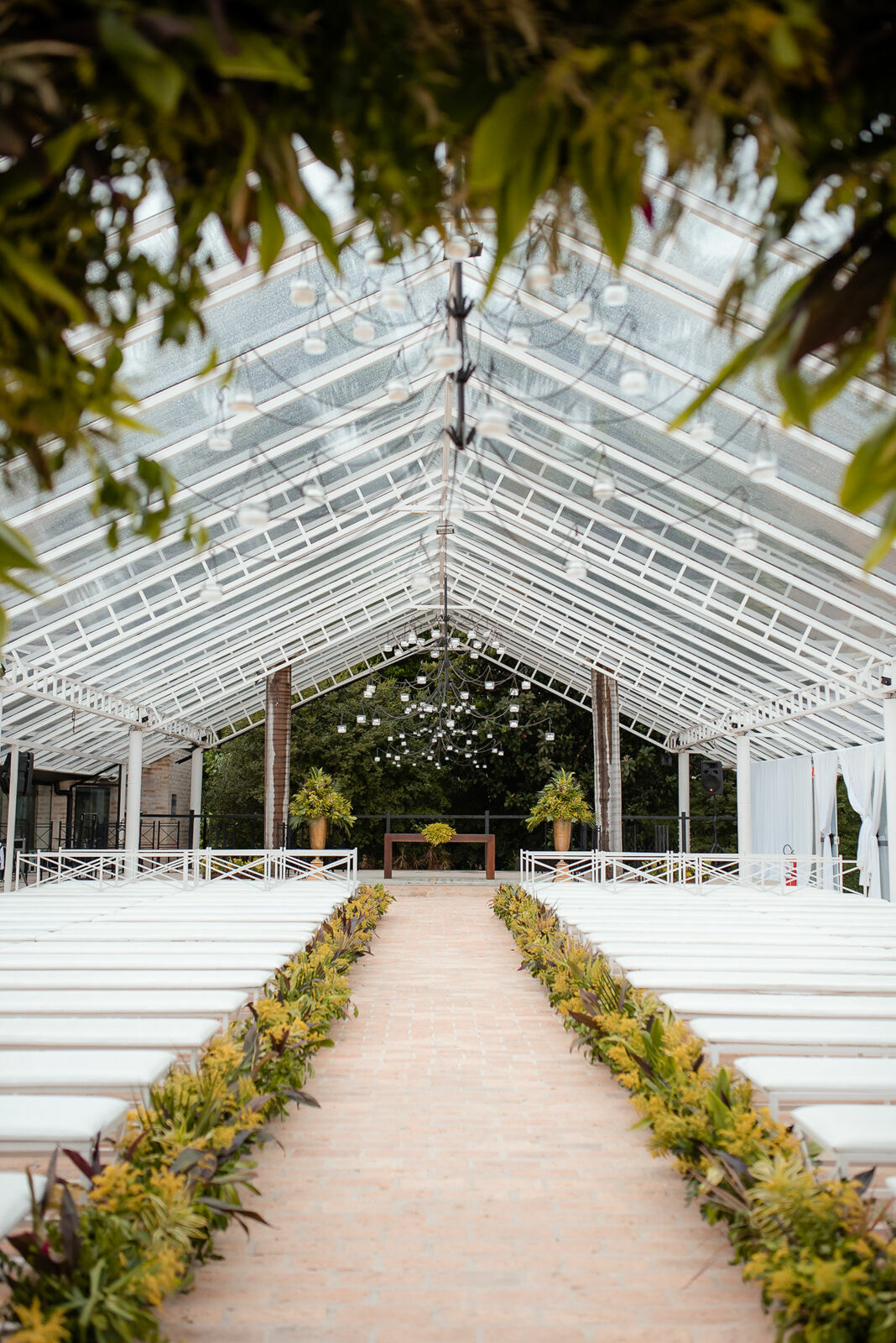 Foto Mariana Anibal e Marcio - Imagem 7