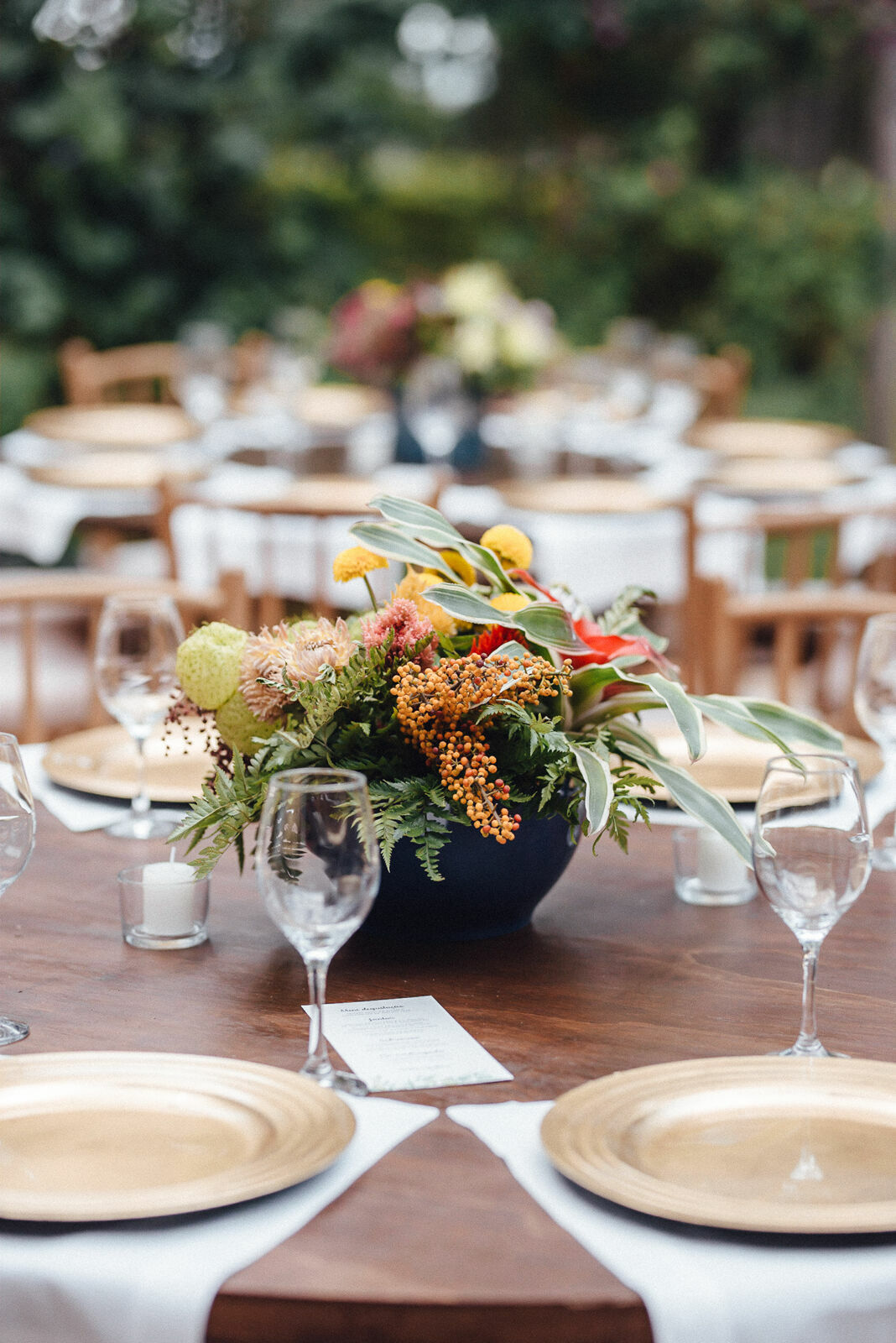 Foto paula e gustavo - Imagem 9
