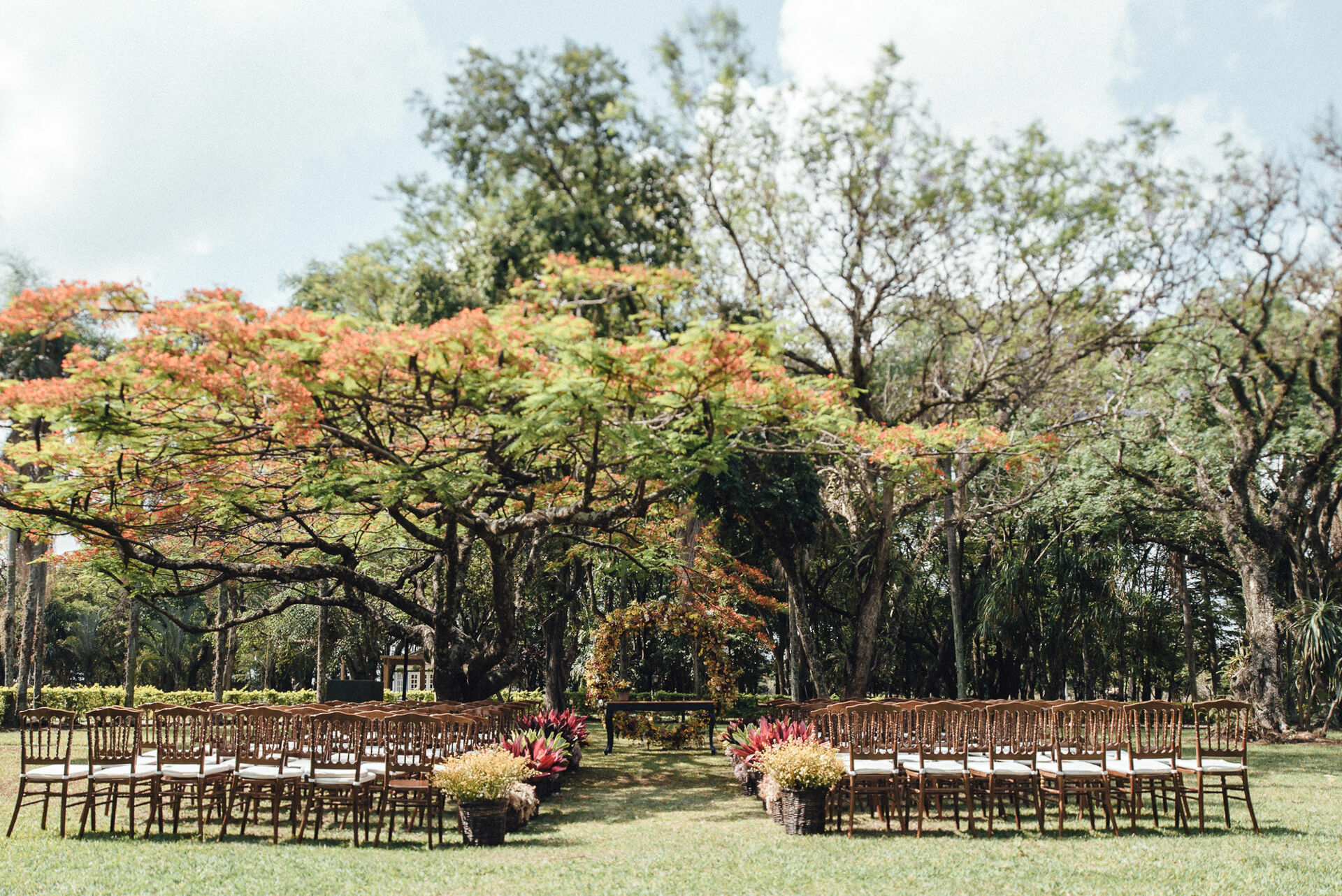 Foto paula e gustavo - Imagem 22