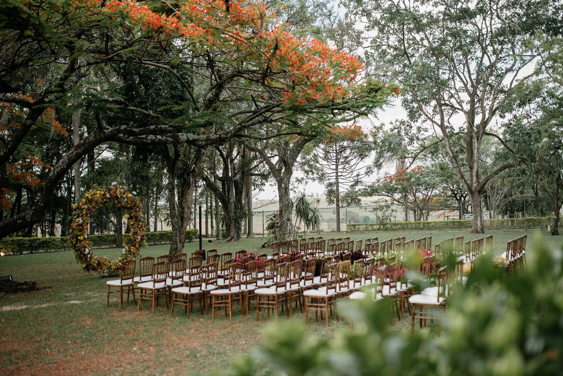 Foto paula e gustavo - Imagem 14
