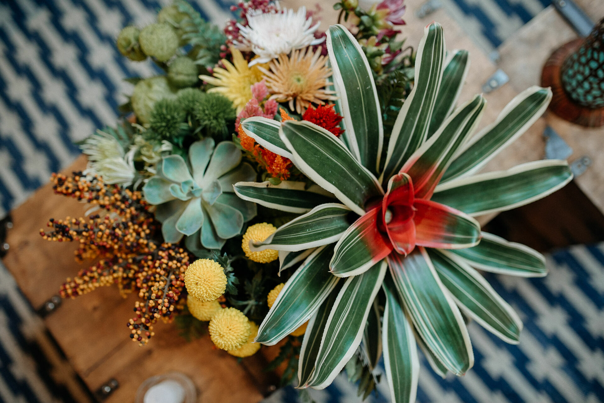 Foto paula e gustavo - Imagem 13