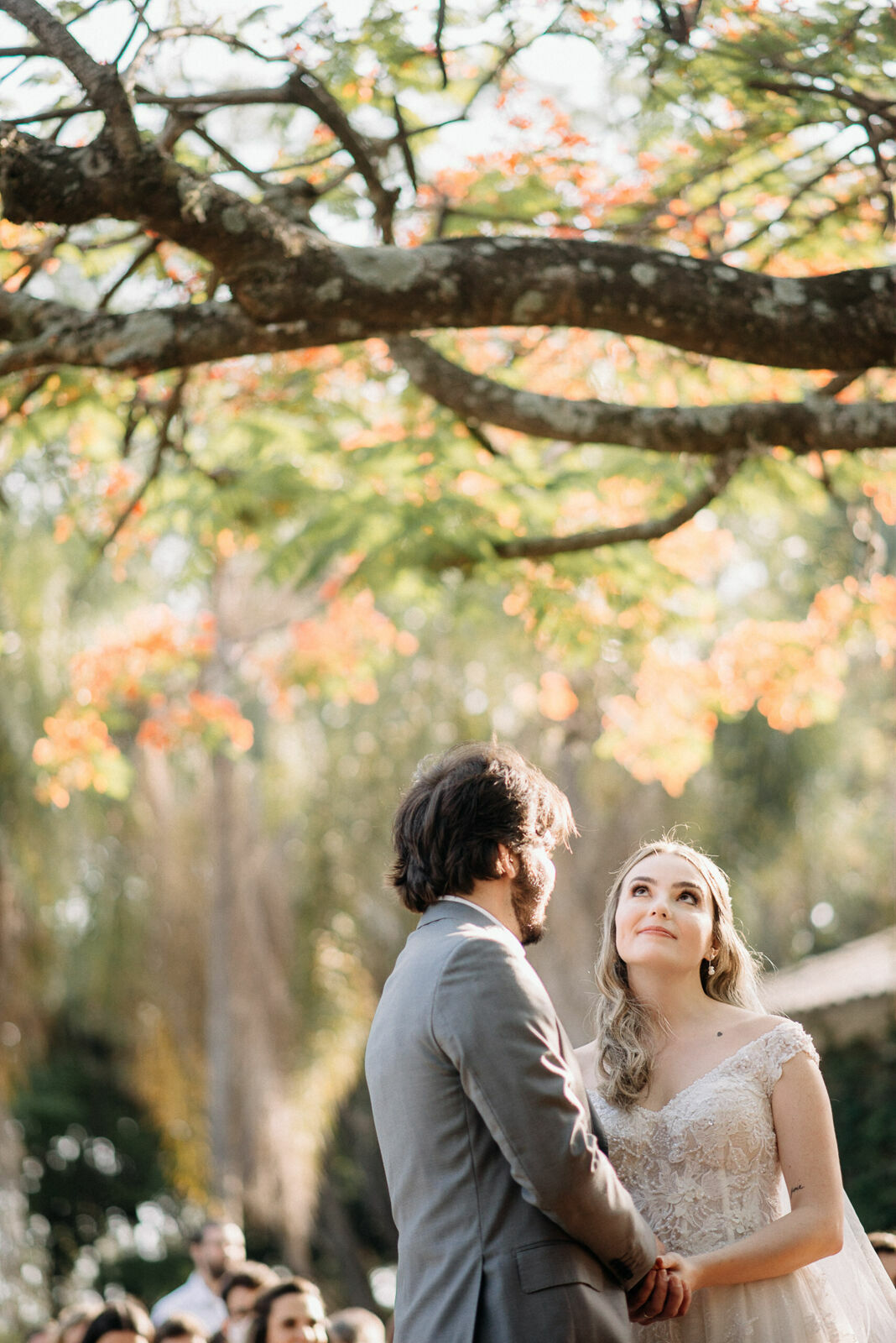Foto paula e gustavo - Imagem 65