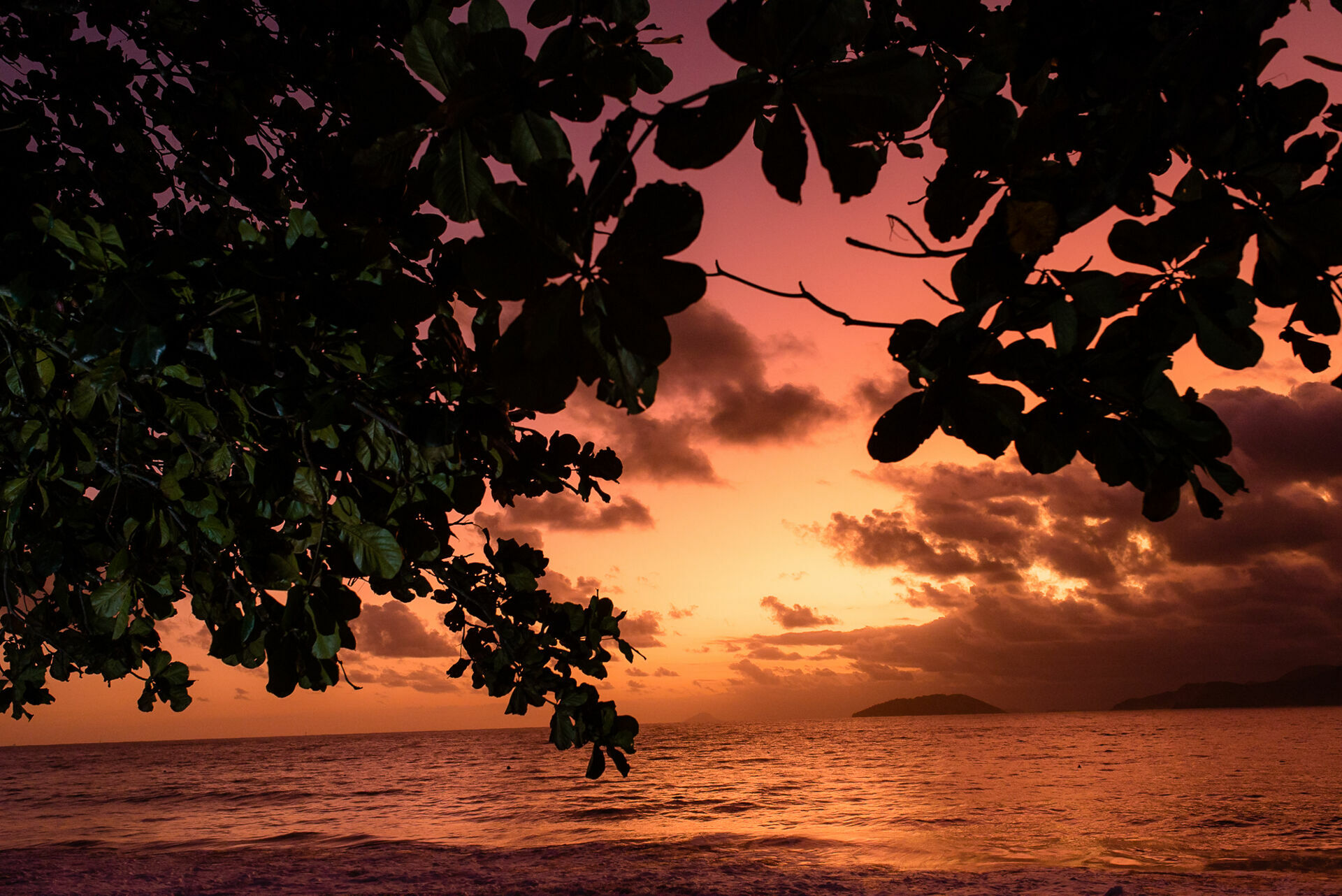 Foto Nadine e Guilherme - Imagem 18