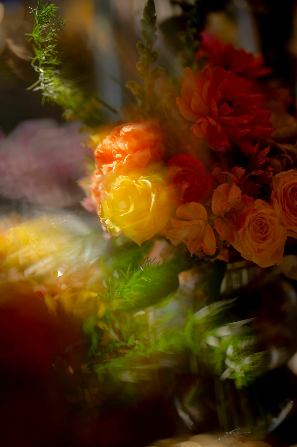 Foto Julia e Bruno - Lake Paradise - Imagem 17